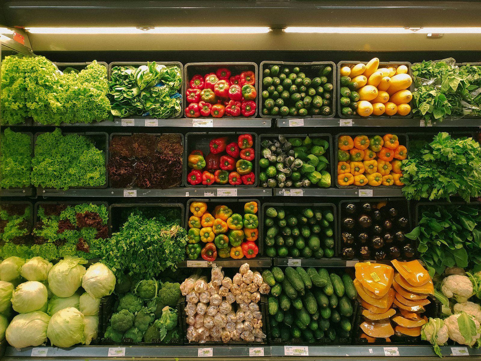 Fresh produce aisle at a grocery store